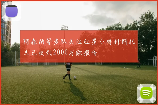 阿森纳等多队关注红星小将科斯托夫已收到2000万欧报价