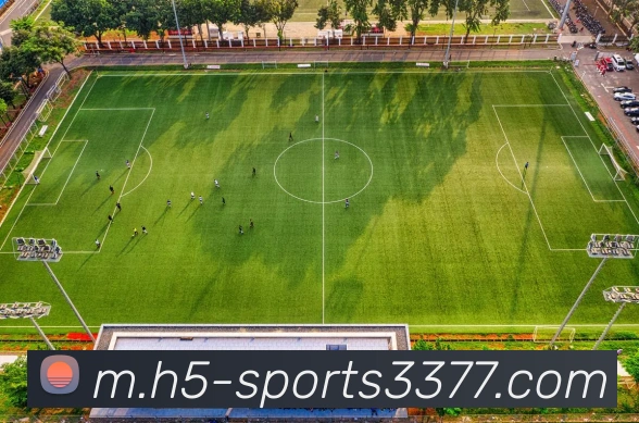 3377体育服务体系